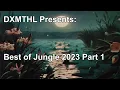 Best Of Jungle 2023 Part 1