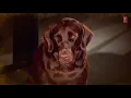 Download Lagu The price of love, who is willing, Teri Meherbaniyan Teri Kadardaniya full song video Jackie Shroff