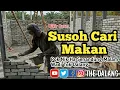 Download Lagu Dikir Susoh Cari Makan Poknik Ha dan Wadi Tok Dalang #dikir2020