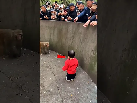 #tiktok