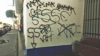 Why Are the Southside Crips SSCC in Compton so Notorious