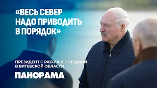 Лукашенко: в Беларуси спасли сельское хозяйство, но надо двигаться дальше. Панорама