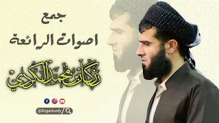 هدية لكم جمع كل اصوات الجميلة للقارئ الشيخ رزكار محمد 