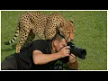 Download Lagu Best Animals Surprising Photographers in Unexpected Ways😂 | Funny Animal Videos 2025
