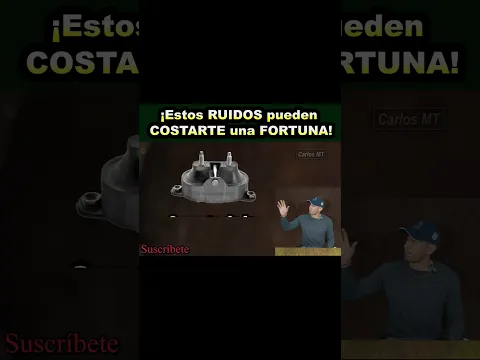 Ruidos de los BUJES de la barra estabilizadora