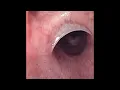 Mascara - Sub Urban (Instrumental)