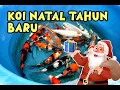 Lagu KOI BARU PERSIAPAN LIBUR NATAL DAN TAHUN BARU !!! | 19-12-2025