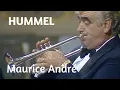 Download Lagu J. N. Hummel - Trumpet Concerto E♭ Major