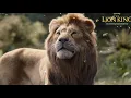 Download Lagu Lion King 2019 - Spirit (Swedish) Subs \u0026 Trans