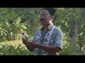 Download Lagu WOKO CHANNEL 2022 keluarga KOK GETING AKU NGOMBE ANGET ANGETAN