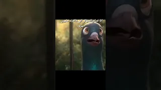 ضحك أفلام فلم للهجره كرتون مدبلج مصري 