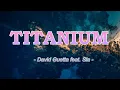 Download Lagu Titanium - Sia feat. David Guetta ( lirik / lyrics dan terjemahan )
