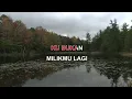 Download Lagu KAU BUKAN KASIHKU LAGI ANNIE ASTARI Indonesian Malay Karaoke