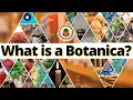 What is a Botanica It s a place for MANIFESTATION Watch and Learn more Yeyeo Botanica