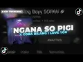 Download Lagu NGANA SO PIGI X COBA BILANG I LOVE YOU - King Boyy SOPAN