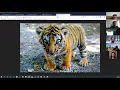 Hands-on NLP workshop build a chat bot with RASA - part 1