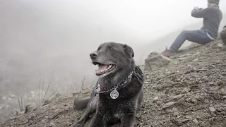 Meeting a Real Fan – Pushing North 09