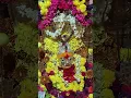Download Lagu Devi kerekodi kaapadu