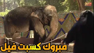 ابراهيم نصر في احلى موسم للكاميرا الخفية مبررروك كسبت فيل 