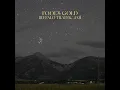 Fool's Gold - Buffalo Traffic Jam