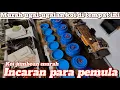 Download Lagu Incaran para pemula‼️murah ugal ugal-ugalan koi di tempat ini