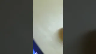 افتتاح قناة  برمدز دندنها