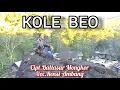 Download Lagu KOLE BEO (Official Music Video) - Rensi Ambang