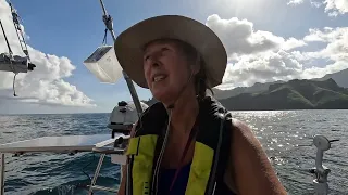 Short singing sitting on dock of the bay #shorts