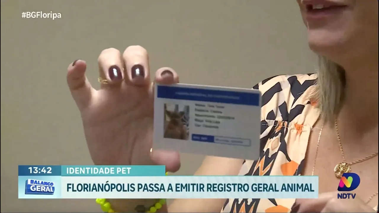 Registro Geral Animal: Florianópolis inova e passa a emitir documento para pets