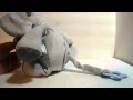 Just One You Carters Musical Elephant