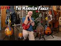 Lagu New Additions to the Mandolin Family! Takeover Tuesday 12-12-23