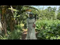 Download Lagu CIPTAAN YANG SEMPURNA...!!! TERJERUMUS KE DUNIA MALAM || ANAK YATIM KORBAN PERCERAIAN || GADIS DESA