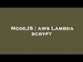 NodeJS aws Lambda bcrypt