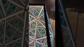 Imagine Museum St Pete Fl