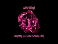 Download Lagu Nicki Minaj (feat. Lil Uzi Vert) - Everybody (DJ Liiiam Extended Edit)