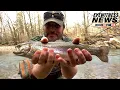 Wild Appalachia Rainbow Trout Spawning