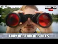 Bringing Bees Into Minecraft