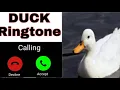 Duck sound ringtones // animal ringtone // Birds ringtone  !