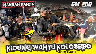 Download GAGAK RIMANG SOLAH 🔥🔥 || KIDUNG WAHYU KOLOSEBO Versi JARANAN Campursari JANURKUNING | SM PRO Audio MP3