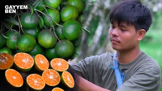 I cooked our entire dinner using DALANDAN(Filipino oranges) | From Tree to Table