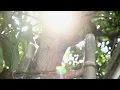 Matta - Ketahuan ( Feel Koplo Remix) Visualizer