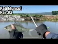Download Lagu SPOT KALI MUNCUL TERKINI !!! NUTUL TANPA PENGUMPUL IKAN UMPAN ROTI KLIK ANDALAN!