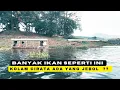 Download Lagu APAKAH ADA KOLAM JEBOL DI WADUK CIRATA ❓ MANCING MANIA