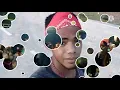 Download Lagu lagu joget 2022