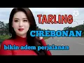Lagu TARLING CIREBONAN BIKIN ADEM PERJALANAN TARLING TENGDUNG @CitraputriAyudia 