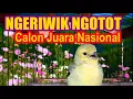 Download Lagu Calon Ngotot : Anakan Cipoh / Sirtu Jantan Umur 2 Minggu Belajar Bunyi