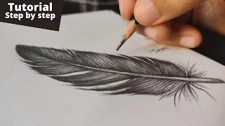 how to draw a realistic feather easy and step by step