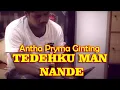 Download Lagu Tedehku Man Nande - Antha Pryma Ginting | Lagu Karo Terbaru [Official Music Video]