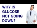 Download Lagu Why is Your Blood Sugar NOT Under Control Although You’re Trying.