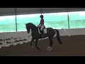 Silverstein and Marlena Second level test 3 67 74